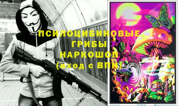винт Белокуриха